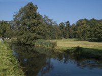 NL, Gelderland, Arnhem, Sonsbeek 5, Saxifraga-Marijke Verhagen